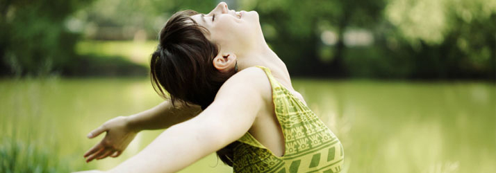 Chiropractic Roseville MN Wellness Chiropractic Roseville MN Wellness