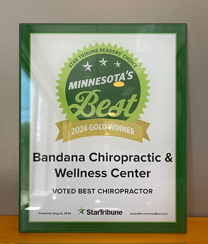 Chiropractic St. Paul MN Minnesota's Best 2024 Chiropractic St. Paul MN Minnesota's Best 2024